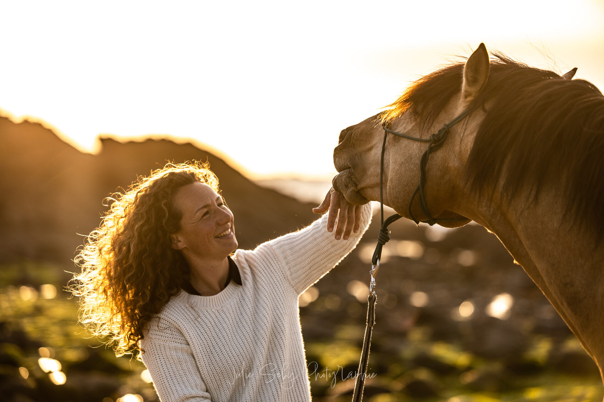 Photographe Dinard chevaux
