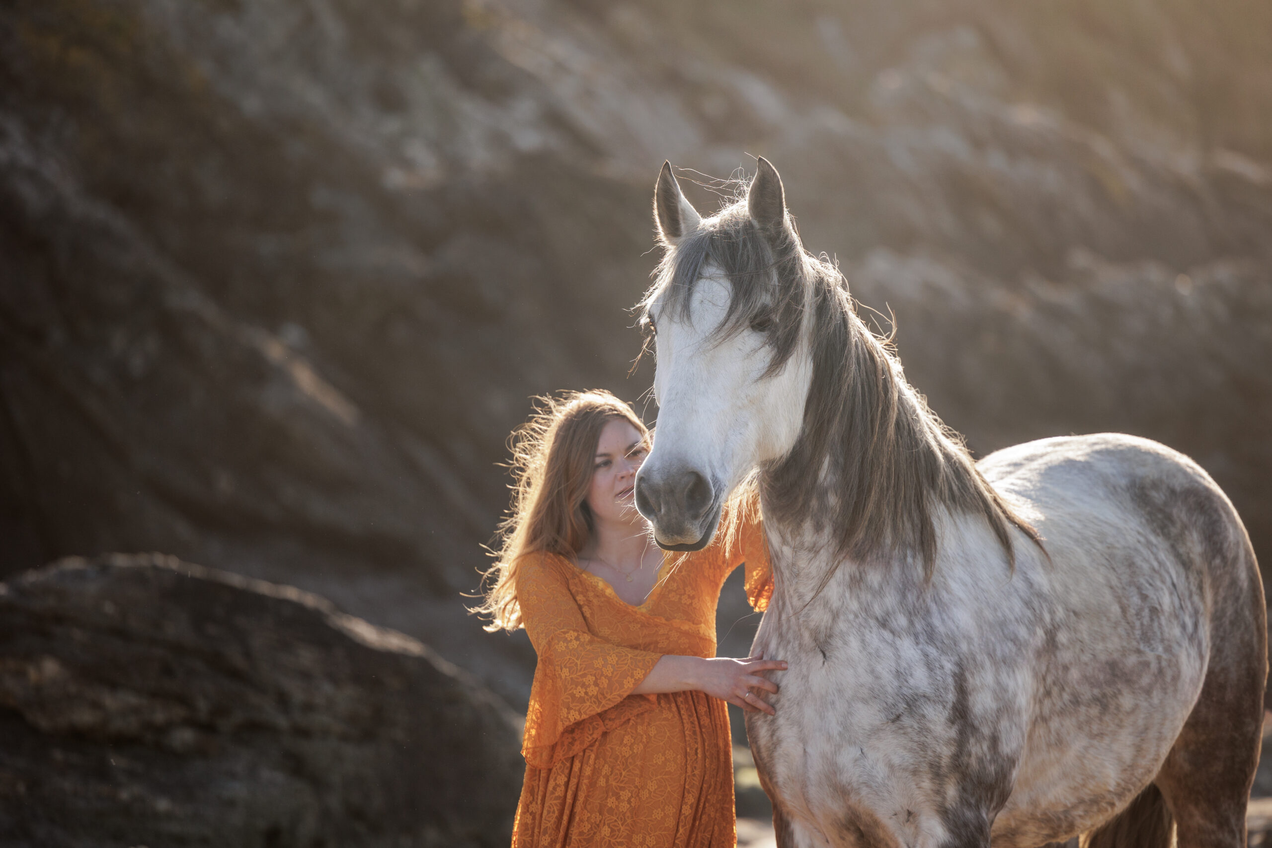 Photographe Equitation Rennes