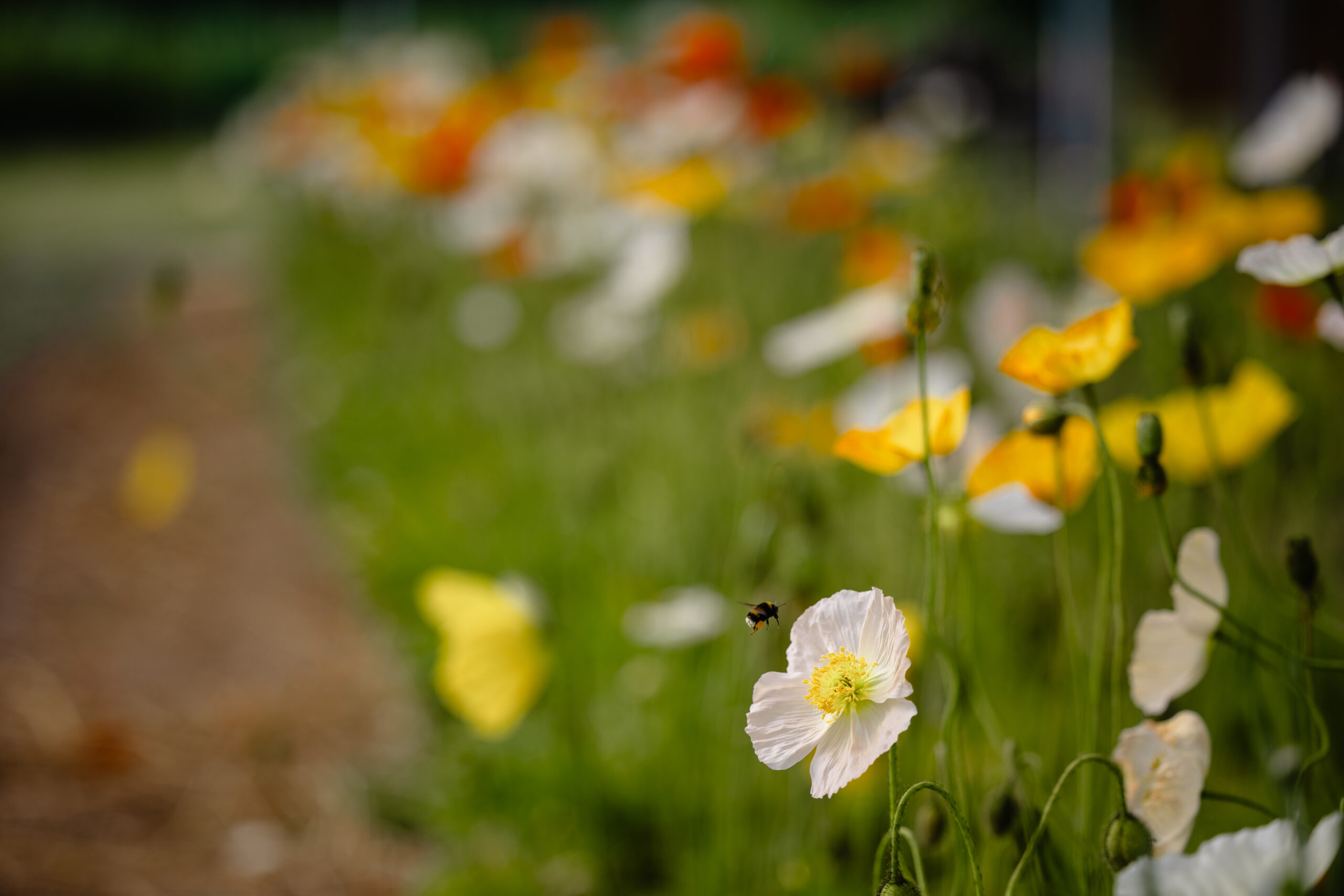 photographie entreprise agriculture