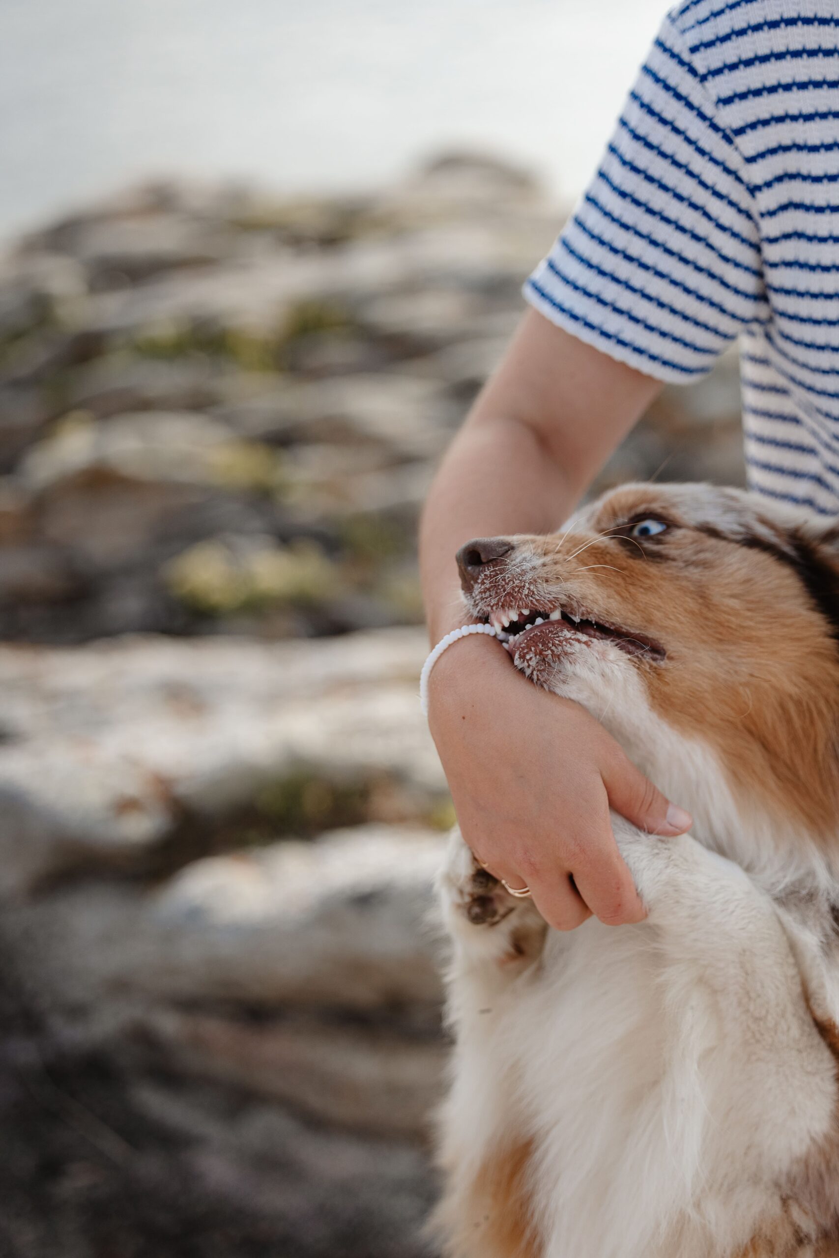 Portrait naturel d’une femme assise avec son chien sur les rochers à Saint-Malo