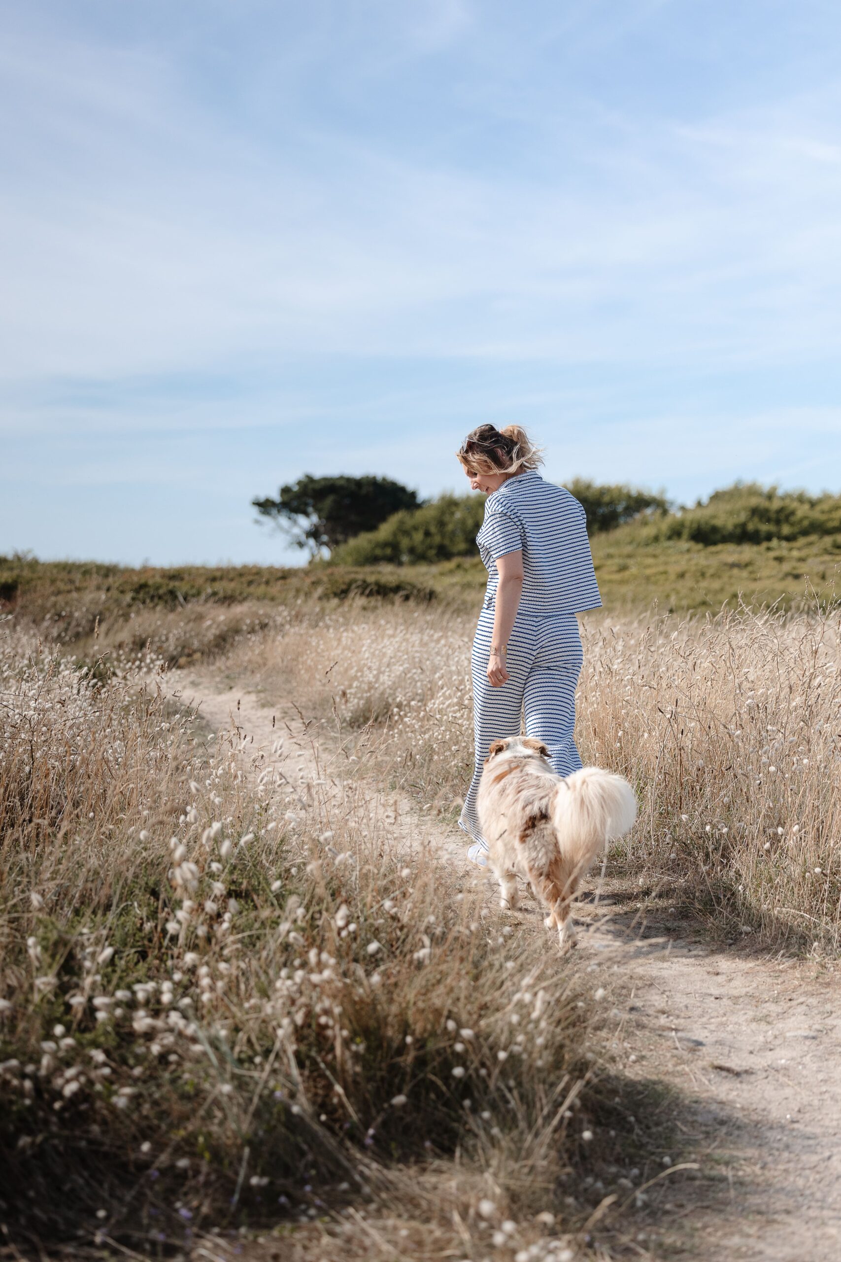 Portrait rapproché d’un chien en séance photo lifestyle sur la plage de Saint-Malo