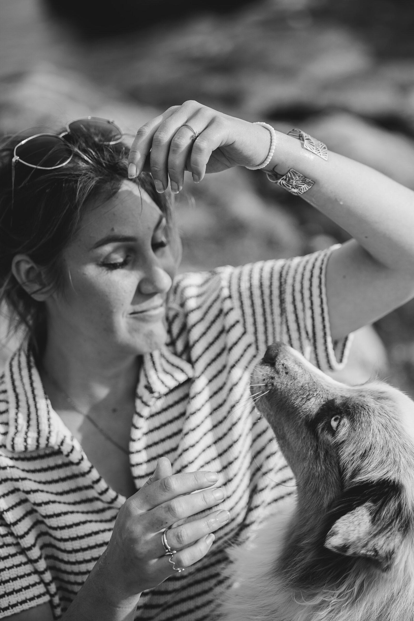 Chienne courant joyeusement sur la plage de Saint-Malo pendant une séance photo lifestyle