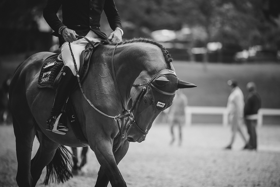 Gros plan en noir et blanc sur un cheval de concours et son cavalier en détente au CSI Dinard