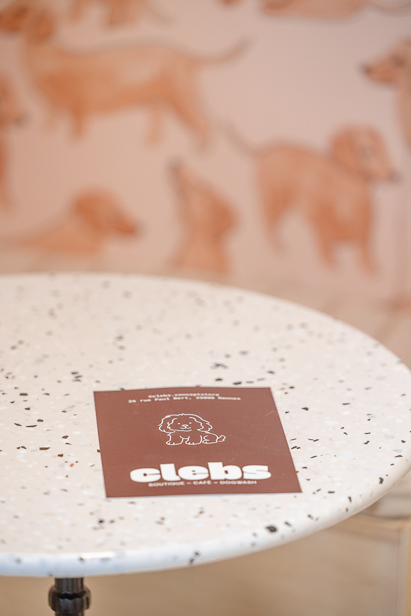 Carte de visite de la boutique Clebs à Rennes
