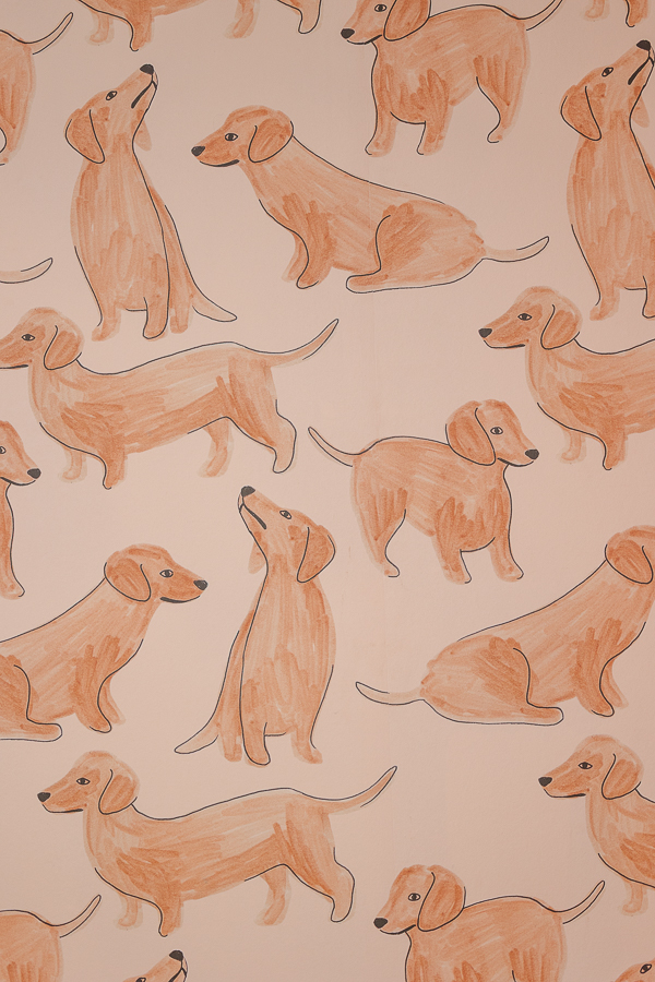 Motif mural composé d’illustrations de petits teckels orangés dans la boutique Clebs à Rennes, concept store canin au style chaleureux