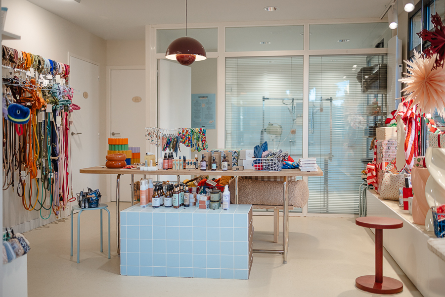 Vue d’ensemble de la boutique Clebs à Rennes, présentant les harnais colorés, accessoires, produits de soin et espace dog wash dans un concept store lumineux dédié aux chiens