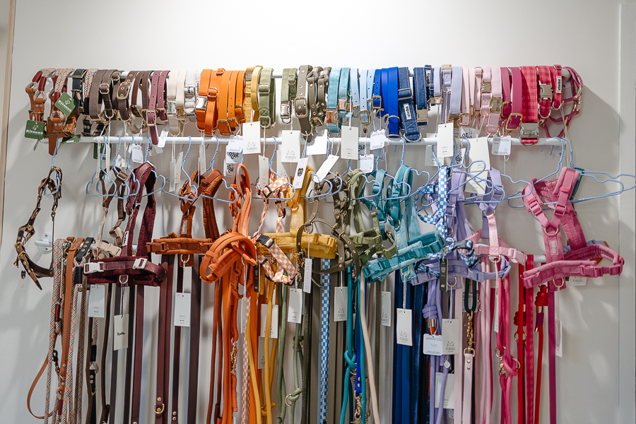 Large sélection de harnais et laisses pour chiens aux couleurs variées à la boutique Clebs à Rennes, parfaits pour accessoiriser un chien lors d’un mariage