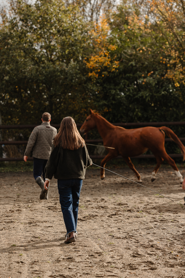 Couple travaillant leur cheval alezan en longe dans une carrière entourée d’arbres – séance photo équestre naturelle en Bretagne par Julie Séby Photographie