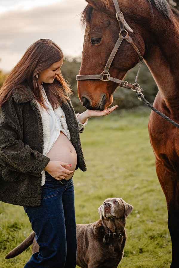 Femme enceinte caressant son cheval sous la lumière du soir, accompagnée de son chien – séance photo équestre naturelle en Bretagne par Julie Séby Photographie