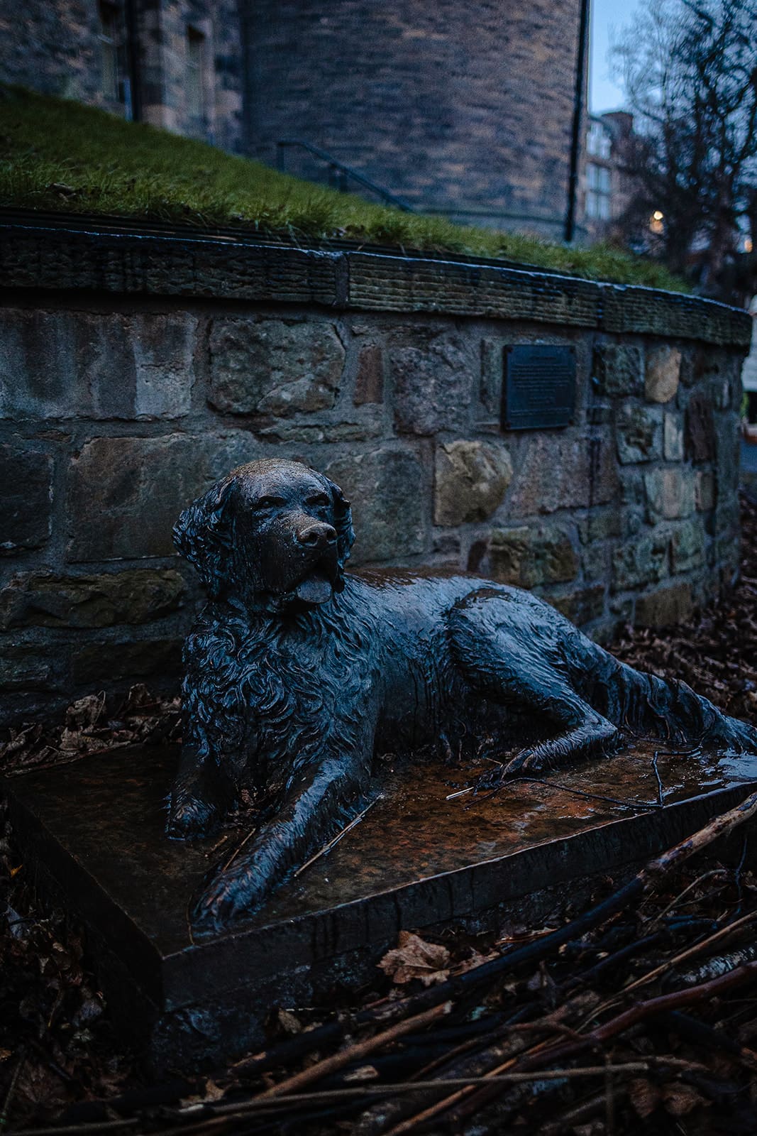 Statue en bronze d'un chien allongé sur un socle en pierre mouillé par la pluie.