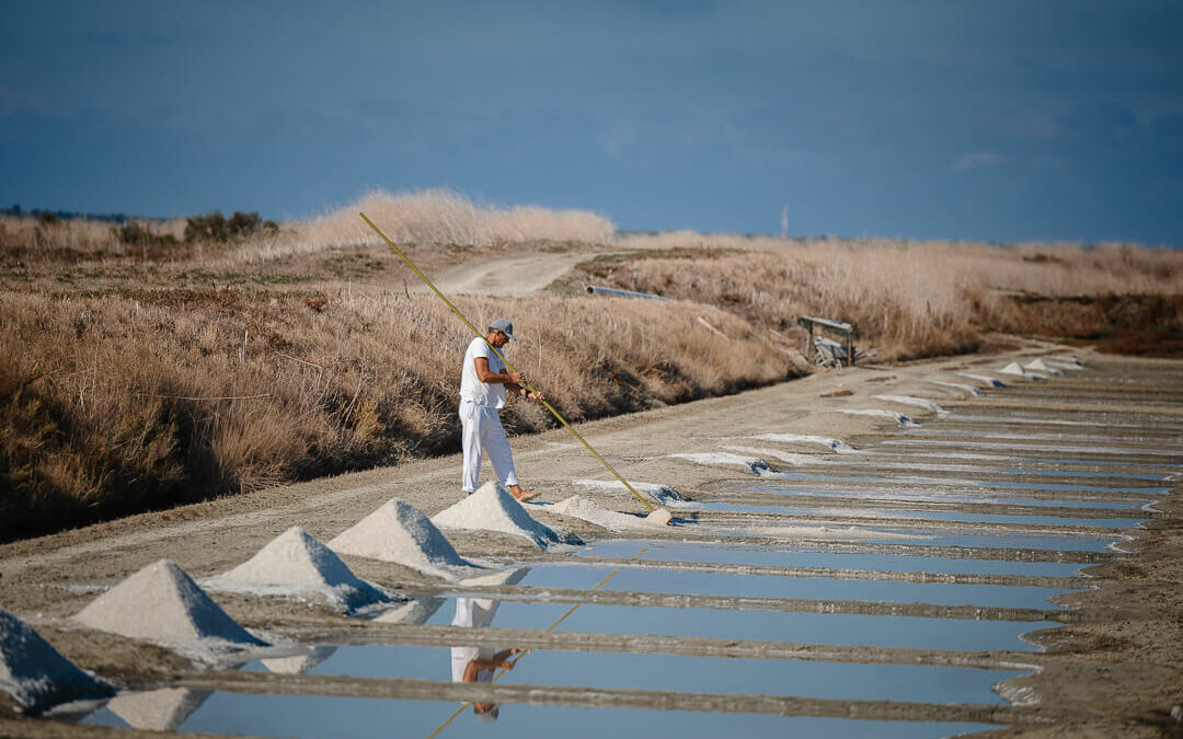 Lumière douce sur les bassins des marais salants de l'île de Ré, capturée lors d'une escapade automnale par une photographe.